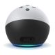 Parlante Amazon Echo Dot 4th Kids Edition Panda
