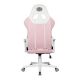 Silla Gamer Cooler Master Caliber R1S Rose 150kg