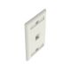 Placa frontal Panduit NetKey 1 puerto