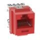 Jack ponchador Panduit NetKey Cat 6, rojo
