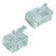Conector Teklink MP-6P4C-50 RJ11 macho