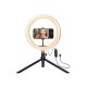 Anillo de luz Led Argom Spotlight Pro 9320 10'