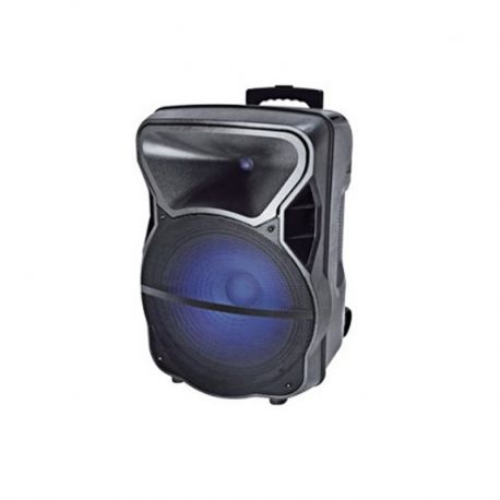 Parlante amplificado AudioPipe 15' 150W RMS