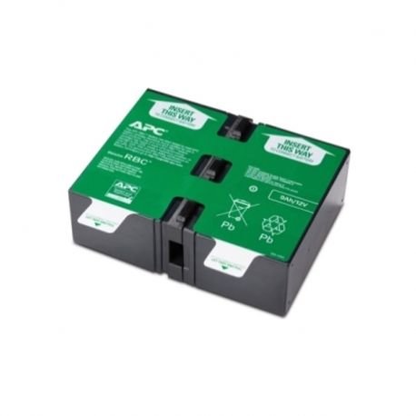 Cartucho de baterías APC de recambio 124 sellada