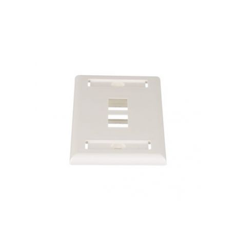 Placa frontal Panduit NetKey de 2 puertos