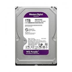 HD INTERNO 1TB 3.5 WD PURPLE WD11PURZ