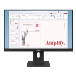 Monitor Lenovo ThinkVision E24-40 23.8" FHD IPS
