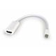 Adaptador Xtech mini Pantalla a HDMI hembra
