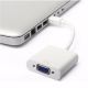 Adaptador Xtech Display adapter 
