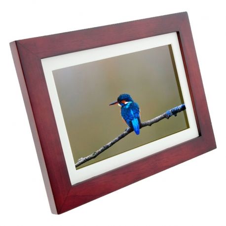 Portaretrato Nexxt Solutions LCD de 8 pulgadas IPS